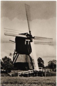 Molen met Dekkergevlucht